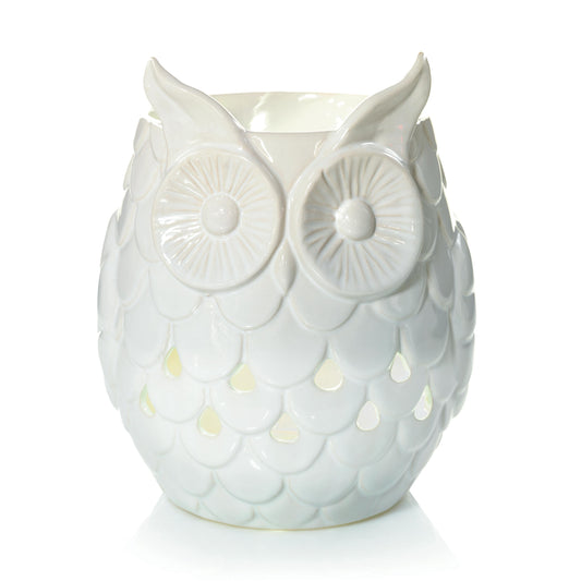 Owl - 8K0F