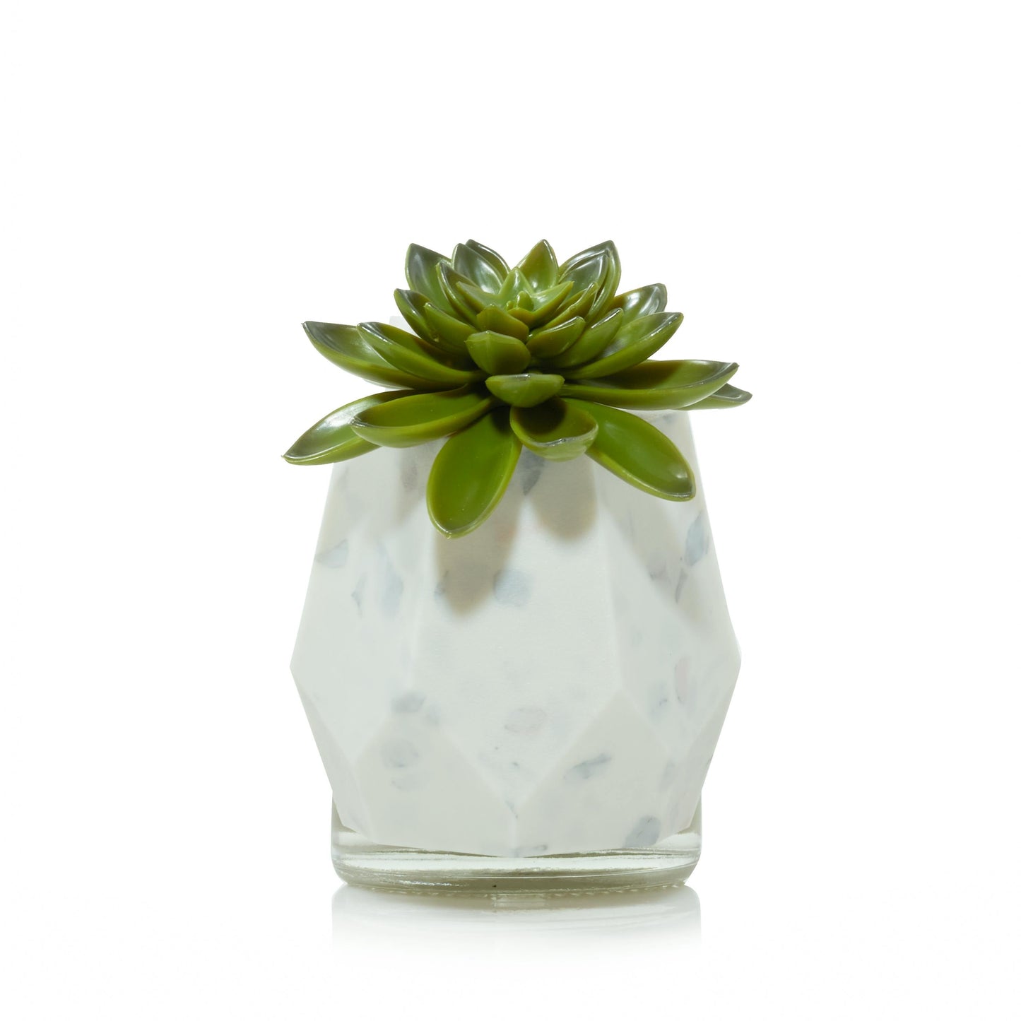 Faceted Succulent ScentPlug® Diffuser with Light - O5V1