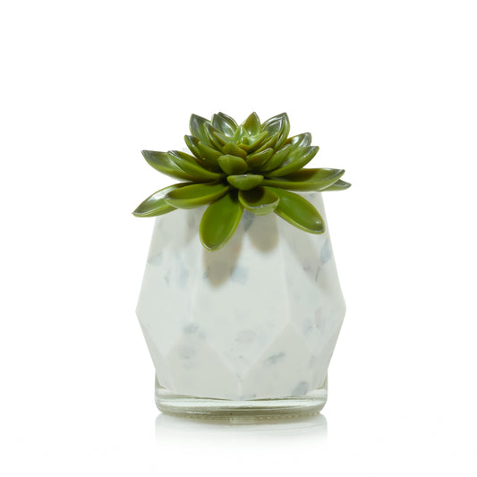 Faceted Succulent ScentPlug® Diffuser with Light - O5V1